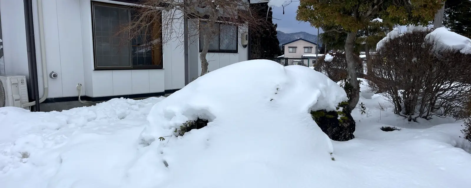 雪の積もった家の庭
